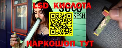 прущие грибы Заволжье